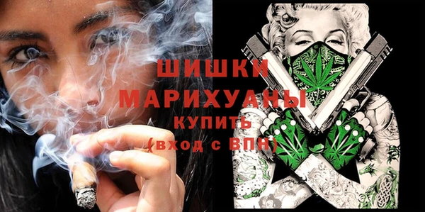 spice Богданович
