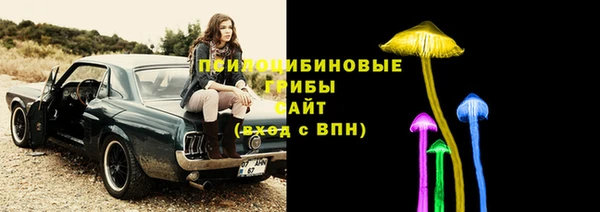 шишки Слюдянка