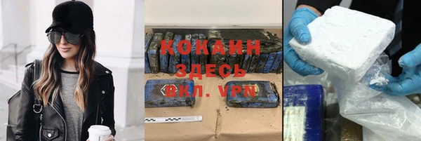 дживик Арсеньев