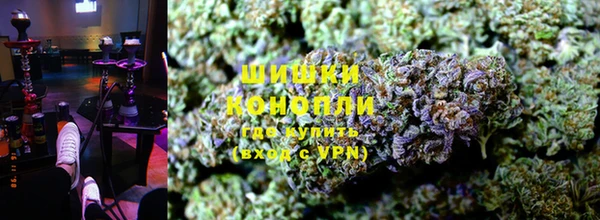дживик Арсеньев