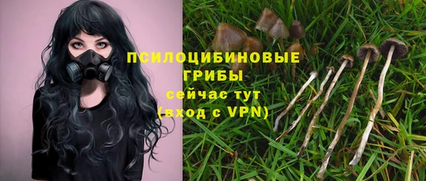 эйфоретик Аркадак