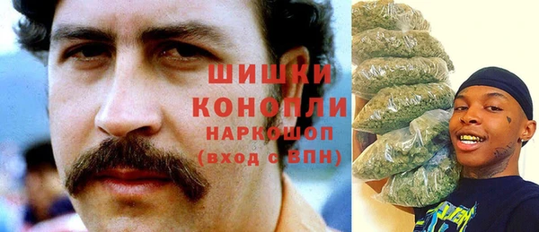 дживик Арсеньев