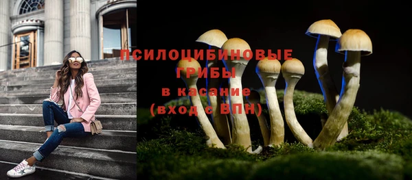 дживик Арсеньев