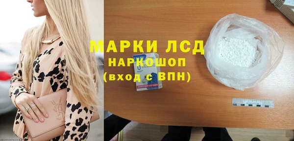 spice Богданович