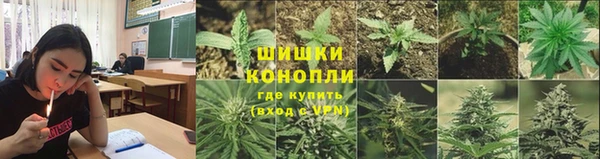 гашик Белокуриха